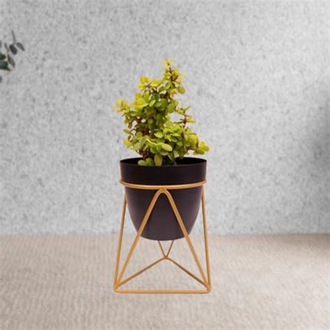 Kuber Industries Planter | Planter Pot Stand for Outdoor | Planter ...