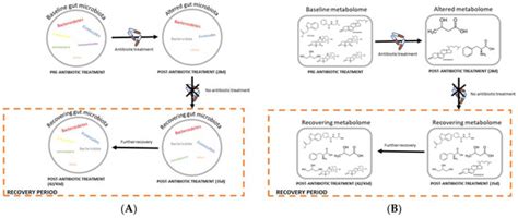 Gut Microbiota as Well as Metabolomes of Wistar Rats Recover within Two ...