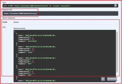 Example Asp.net Core Project Using API 的图像结果
