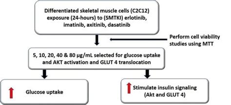 Small-Molecule Tyrosine Kinase Inhibitors Modulate Glucose Handling in ...