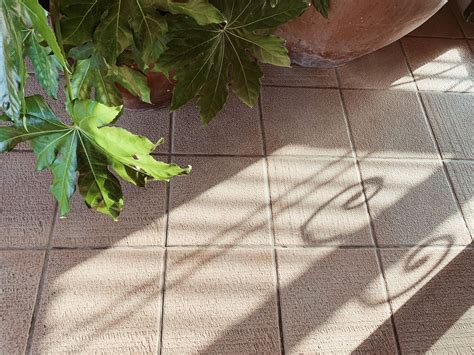 Renovation Guide: 7 budget-friendly floor tiles for your home ...