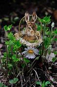 Image result for Victorian Rabbit Page Border