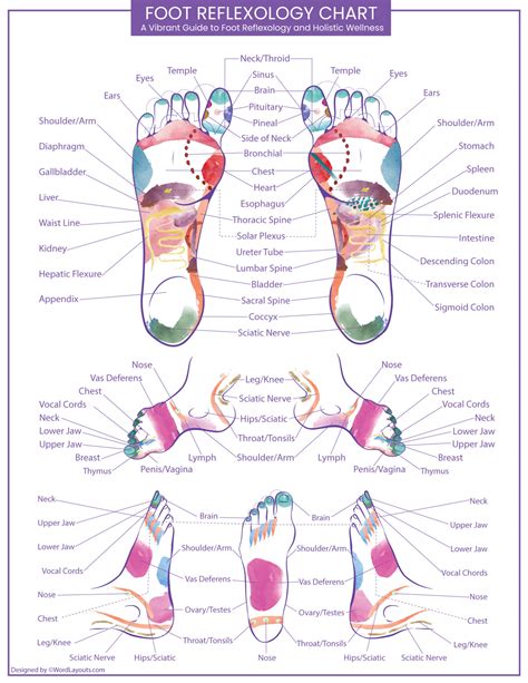 Detailed Foot Reflexology Chart (Printable) - WordLayouts