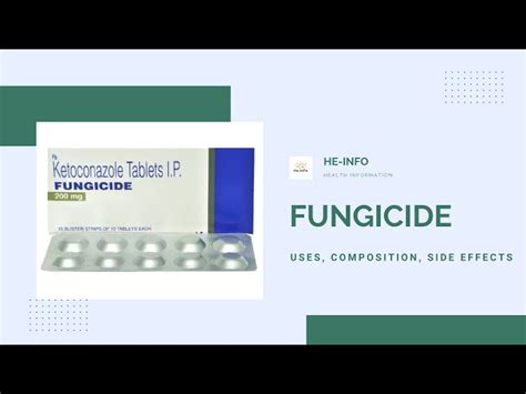 Antifungal Medicines - Ivermactol 12 Ivermectin 12mg Tablets Trader ...