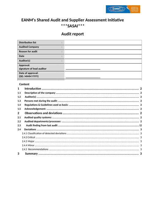 Audit Report Example 的图像结果