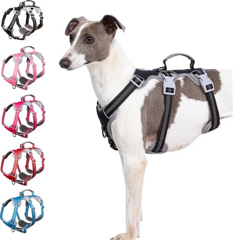 Amazon.com : Huntboo No Escape Dog Harness, Escape Proof Harness ...