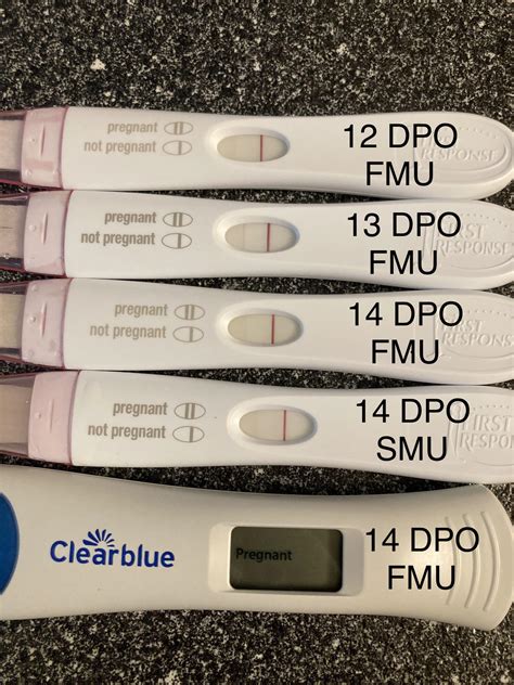 Worried about line progression and possible chemical pregnancy. 14 DPO ...