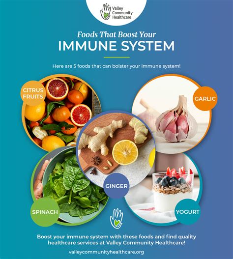How To Quickly Boost Immune System - Impactbelief10