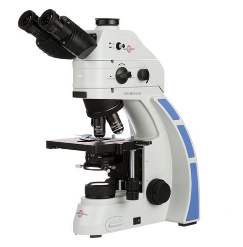 Fluorescence Microscope 的图像结果
