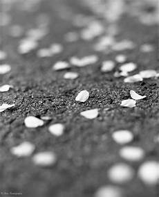 min depth of 14 best minimum depth of field images on min depth of 14 best minimum depth of field images on