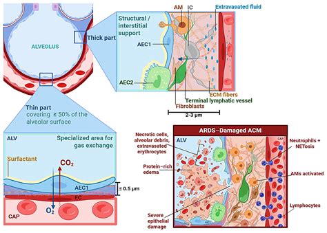 Current Insights into Clinical, Molecular, and Therapeutic Approaches ...