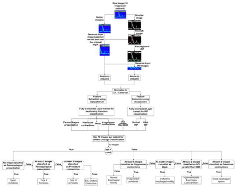Automated Chicago Classification for Esophageal Motility Disorder ...