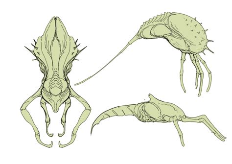 Image result for Alien Bug Concept Art
