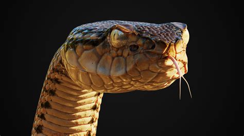 蛇3D模型 - TurboSquid 1277884