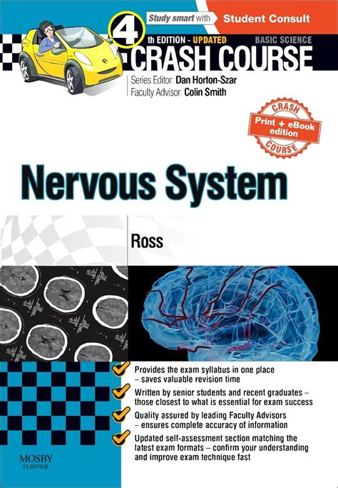 Image result for Crash Course Nervous System