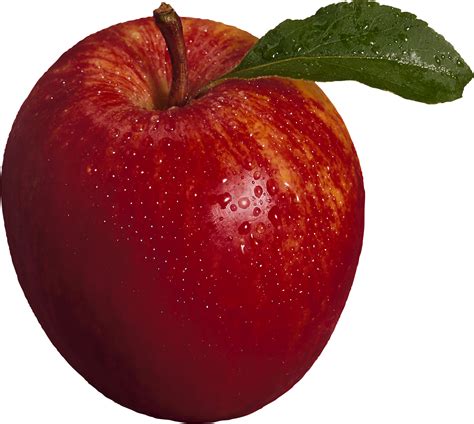 Apple Fruit - Apple PNG png download - 1284*1151 - Free Transparent ...
