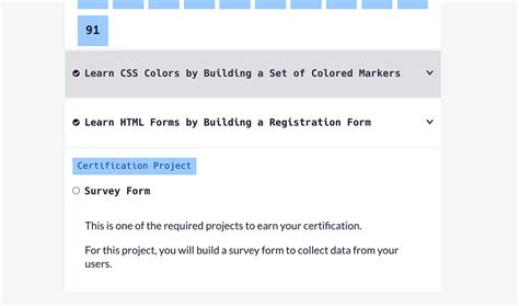 Image result for Freecodecamp Survey Form Example