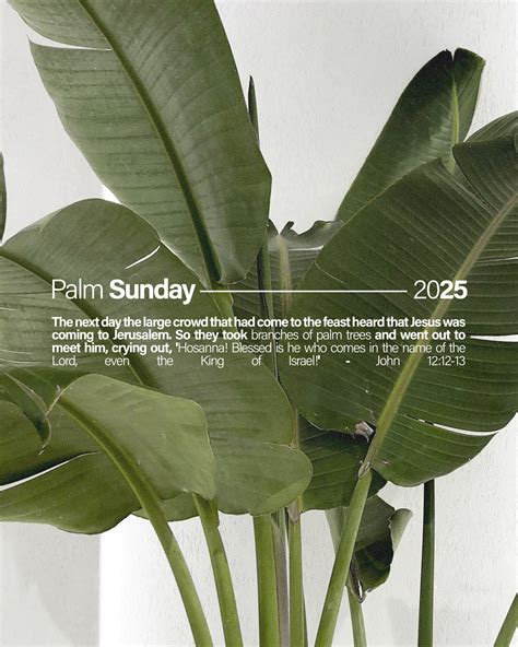 Palm Sunday 2025. The next day the large crowd that had come to the ...