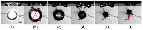 Exploration of the Pulsation Characteristics of a Bubble Adjacent to ...