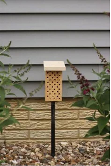 Image result for Making a Bee Home