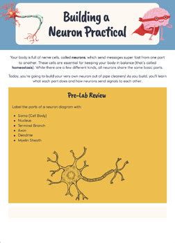 Image result for Pipe Cleaner Neuron Project