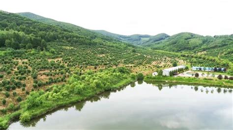 省林业和草原局生态保护修复处到柳河县督导造林绿化相关工作