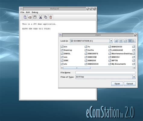 Image result for Java OS