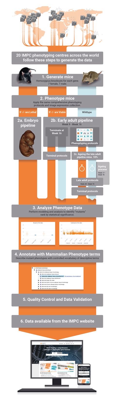 Image result for Impc Tutorial