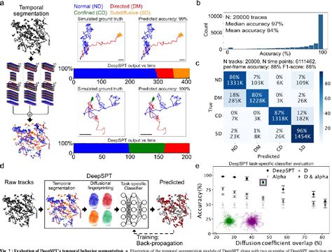 Image result for Single Particle Tracking Algorithm