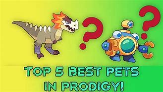 Image result for Best Pet in Prodigy Math Pirate