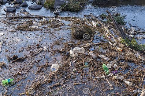 Pollution 的图像结果