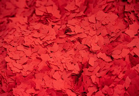 Vibrant Flooring Colors | Gold Coast Floor Finishers