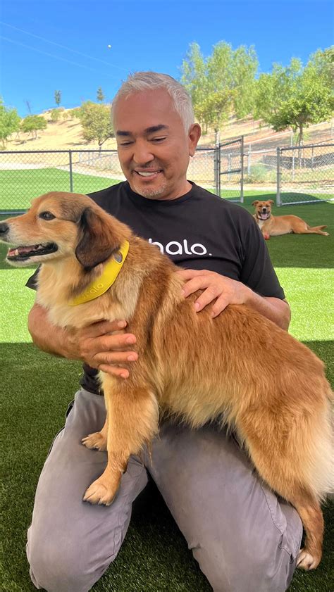 Cesar Millan | I have a dream…. 💭 That together we make this world a better planet by bettering ...