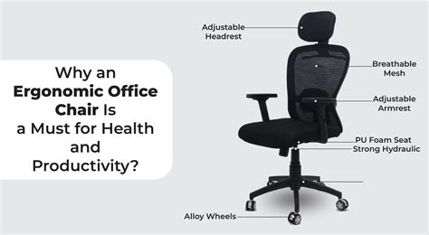 My Cubicles | India's Best Ergonomic Office Chairs Online
