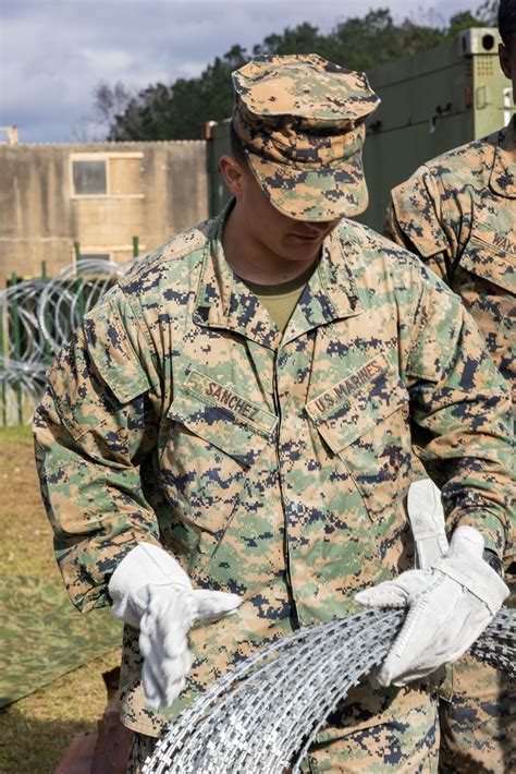 Command Post Training 的图像结果