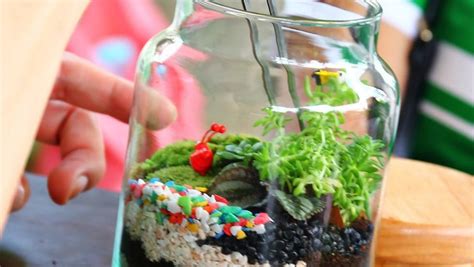 Mini Terrariums , 909 Robert D. Ray Drive, Des Moines, IA, United ...