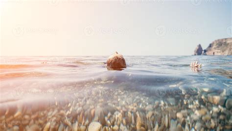 Swim in Sea 的图像结果