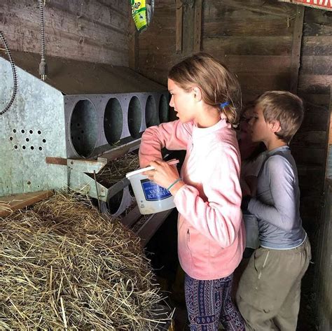 SOLACE FARM (Davis) - Campground Reviews & Photos - Tripadvisor