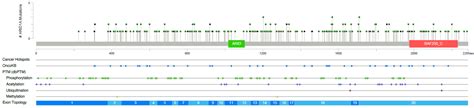 Genetic and Clinical Characteristics of ARID1A Mutated Melanoma Reveal ...