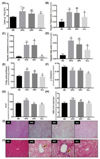 Alteration of Microbiome Profile by D-Allulose in Amelioration of High ...