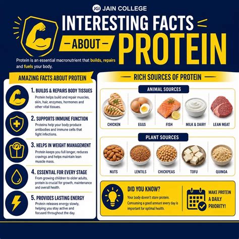 What Are Proteins? Definition, Types, Functions & Food Sources (2026)