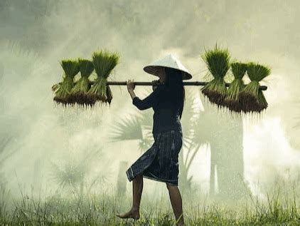 Top 6 Government Schemes for Farmers