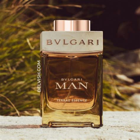 Buy Bvlgari Man Terrae Essence Eau de Parfum for Men Online