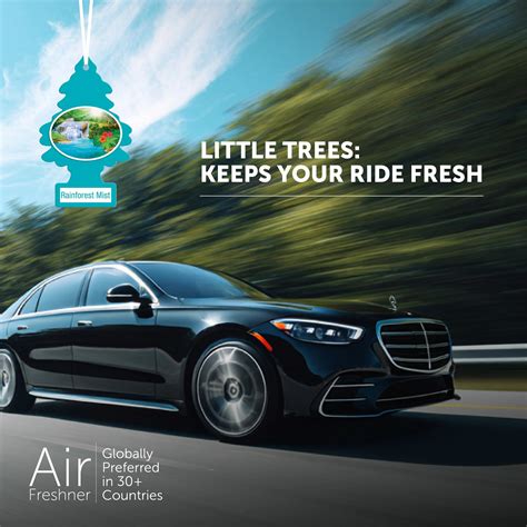 Little Trees Rainforest Mist Air Freshener | Buy 1 Get 1 Free