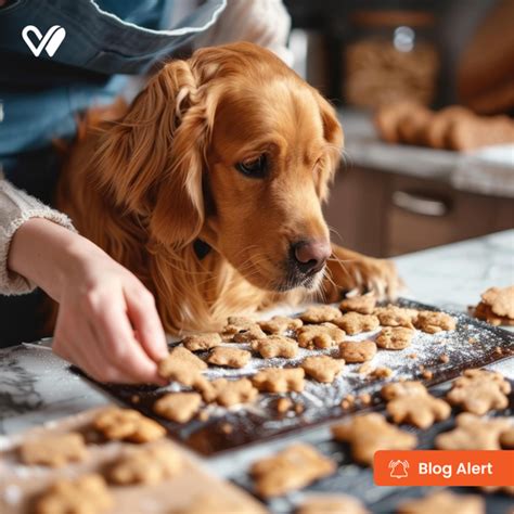 Pet Shop Online:Buy Pet Food, Medication & Pet Care Services in India