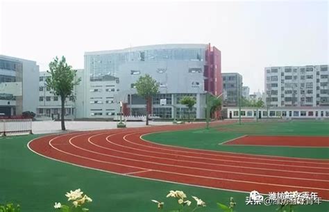 2024年潍坊各区高中学校高考成绩升学率排名一览表_大风车考试网