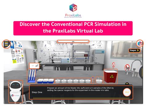 Virtual PCR Simulator 的图像结果