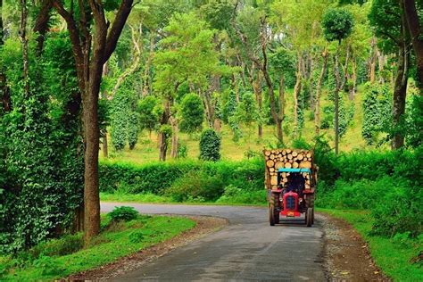 Best Things To Do In Coorg: A Beautiful Escape For 2024