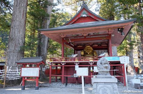 Image result for jinja