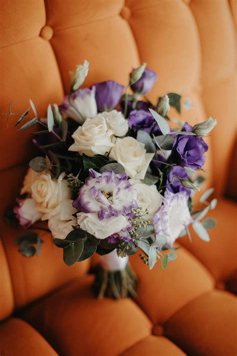 Nature Slideshow 的图像结果